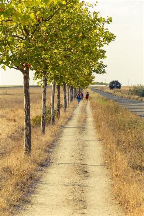 Pilgrims On The Camino De Santiago Stock Photo - Image of asphalt, sahagun: 46308898