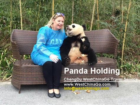 ChengDu Wolong Panda Reserve Tour - China Tours @WestChinaGo