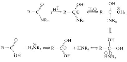 24.4: Hydrolysis of Amides - Chemistry LibreTexts