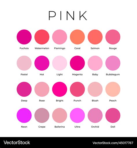 Pink color shades swatches palette with names Vector Image