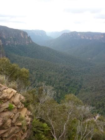 Young Carers Down Under