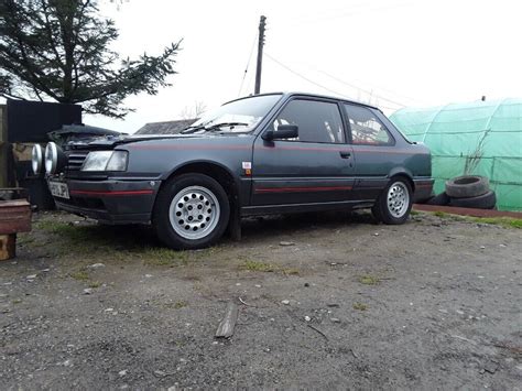 Peugeot 309 1.9 GTi rally car | in Newcastle Emlyn, Carmarthenshire ...