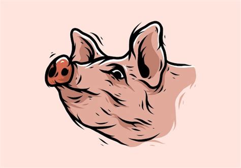 Premium Vector | Vintage pig head illustration drawing