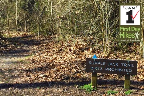 Dismal Swamp State Park: First Day Hike › North Carolina Science Trail