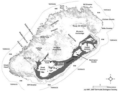 Mapping Bermuda's Coral Reefs