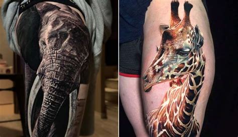 50 + Best Animal Tattoo Design Ideas