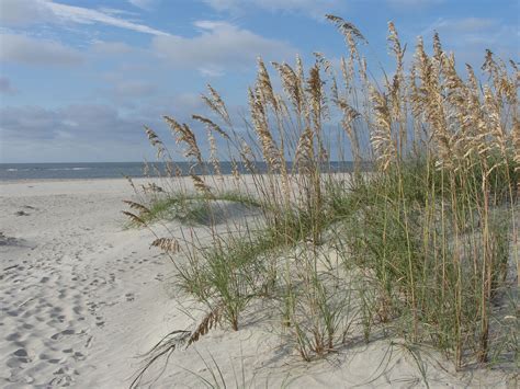 Holden Beach, NC | Places to go, Holden beach, Vacation trips