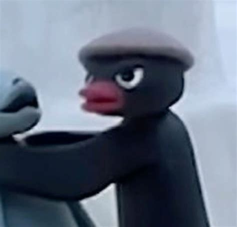 matching pfp pingu 2 profile picture seal penguin i 2024