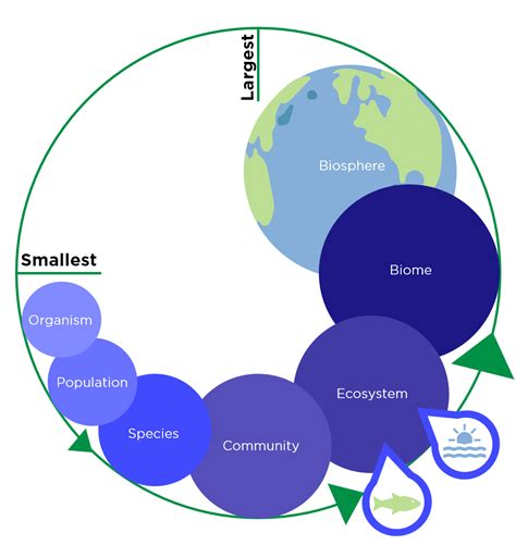 Biosphere Definition