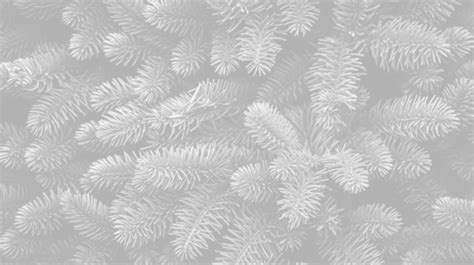 Festive Christmas Background Textured Pine Tree Adorned With Ornaments ...