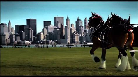 Clydesdale Super Bowl Ad 2024 - Image to u