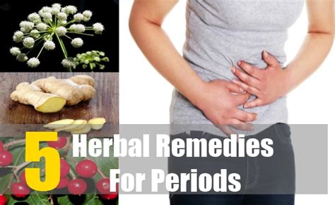 Top 5 Herbal Remedies For Periods - How To Treat Periods Problems With ...