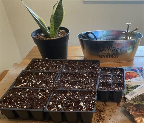 How to Add Phosphorus to Soil? [5 Easy Tips!] - Grow Your Yard