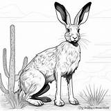 Desert Animals Coloring Pages  Free & Printable sketch template