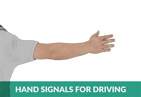 Hand Signals for Driving: The 2 Basic Driving Hand Signals Explained