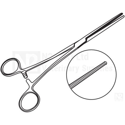 Rochester Pean Artery Forceps | N2 (UK) Ltd