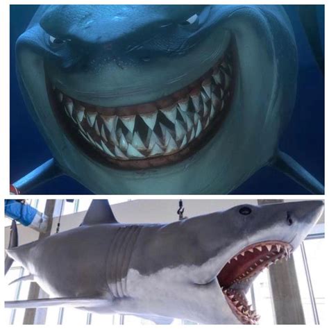 The great white shark Bruce from Finding Nemo (2003) actually got his ...