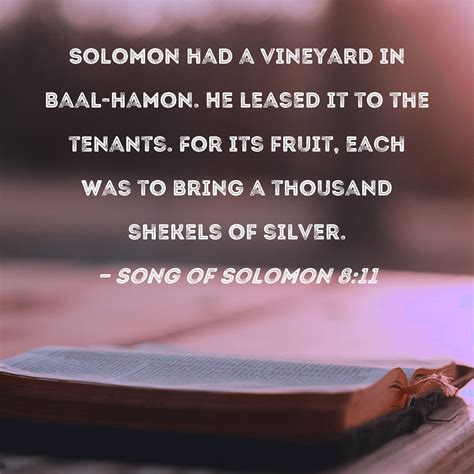 Song of Solomon 8:11 Solomon had a vineyard in Baal-hamon. He leased it to the tenants. For its ...