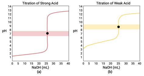 Acid-Base/ pH Titration Curves and Equivalence Points - JoVE