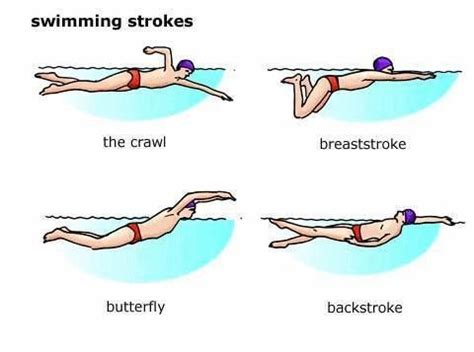 Different Swimming Strokes Swimming Strokes | Natação, Nadar, Inglês