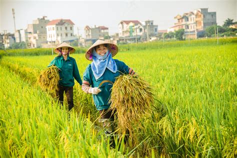 Giải bài toán nâng cao chất lượng nguồn nhân lực ngành nông nghiệp Việt Nam