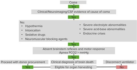 Signs and Criteria of Brain Death and Organ Donation | Lecturio