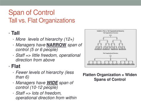 What Is A Disadvantage Of A Flat Organizational Structure