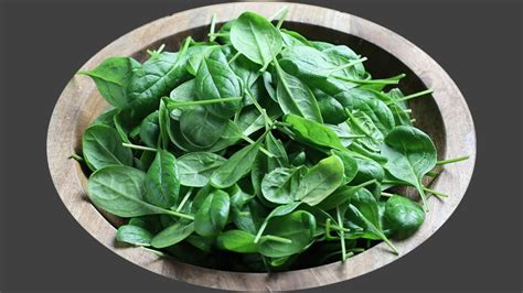 √70以上 Bisaya Spinach In Tagalog - タザマウォール