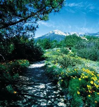 Santa Barbara Botanic Garden, Santa Barbara, CA - California Beaches