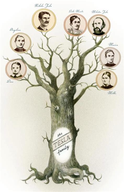 Nikola Tesla's Family -Dane (Danilo), brother, born in 1848 who died ...