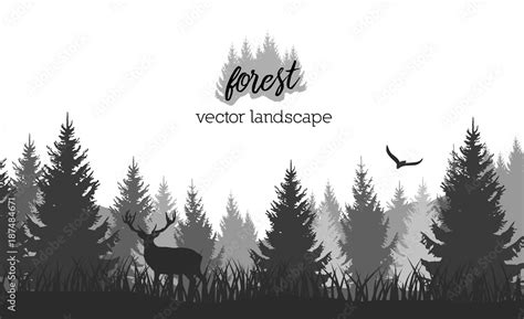 Vector vintage forest landscape with black and white silhouettes of ...