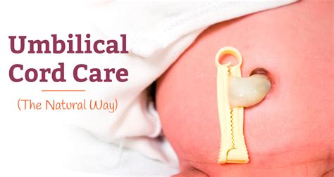 Umbilical Cord Care and how to identify its infection | NextMamas ...