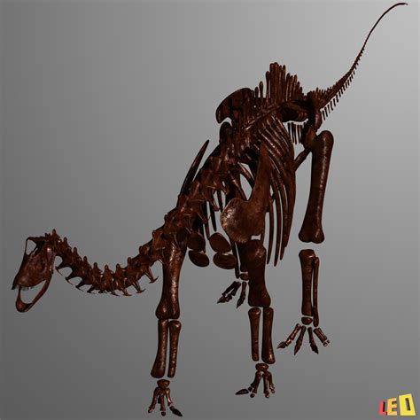 3d dino skeleton diplodocus bones