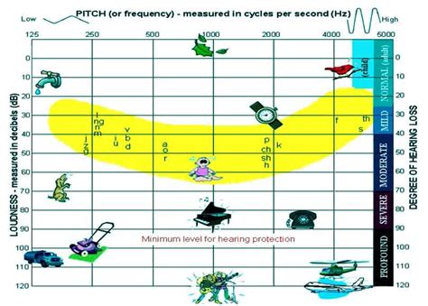 Pure Tone Audiogram: Symbols | Configuration | Interpretation