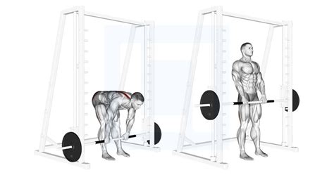 Smith Sumo Deadlift - Guide, Benefits, and Form