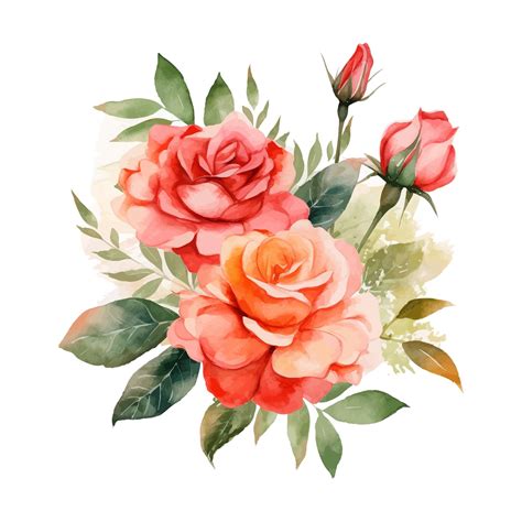 Premium Vector | Hand painted watercolor roses clipart