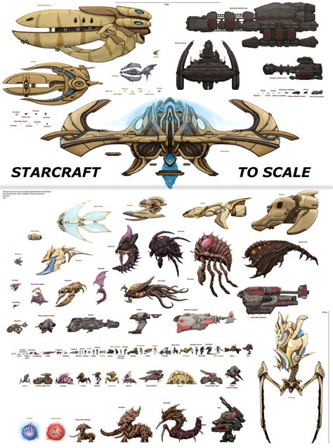 Starcraft units to scale. : gaming