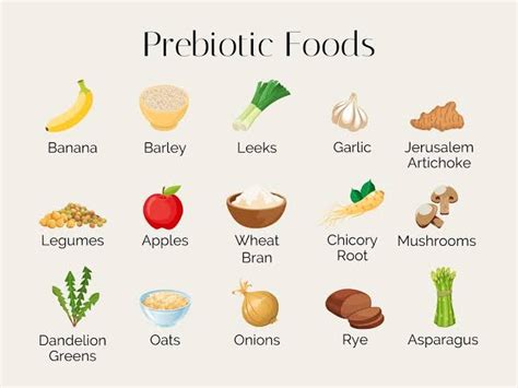 Prebiotics - Types, Importance, How do they work? Health Benefits - Santripty