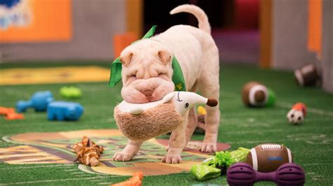 PUPPY BOWL 2018 Highlights Deserve a Round of Appaws - Nerdist