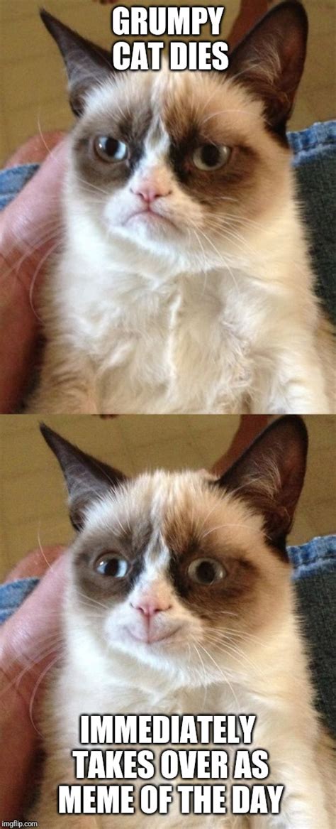 Grumpy Cat Gets The Last Laugh - Imgflip