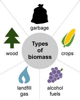 Biomass Boilers | Biomass Fuel: Types, Heating, Gasification, Benefits