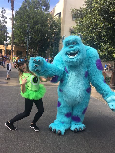 Mike and Sully costumes. DIY Disney costume Disney Costumes, Dog ...