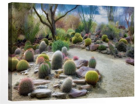 Cactus Garden and Path in Living Desert California by Dennis - Etsy