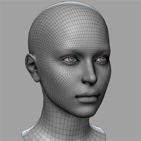 Head Base Mesh 3D Model in Woman 3DExport