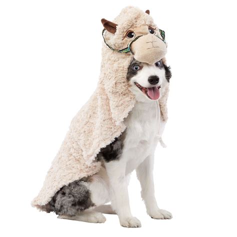 Rubie's Halloween Llama Pet Costume size: Small, Rubies, wash/white ...