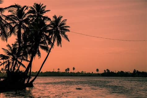 Adventure Seekers, Get Ready for Your Kerala Trip - Earth's Attractions - travel guides by ...