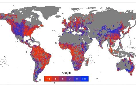 New global map reveals effects of wet and dry climates on soil pH - UPI.com