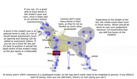 Canine (or quadruped) anatomy in MMD by Miku-Nyan02 on DeviantArt