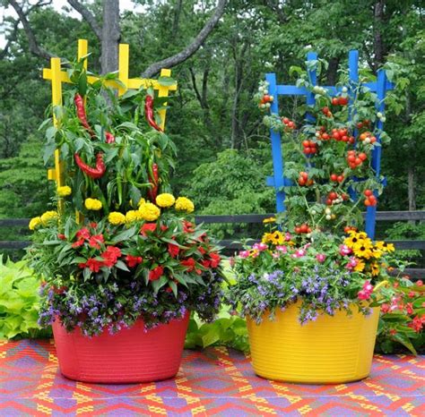 22 Stunning Container Vegetable Garden Design Ideas & Tips