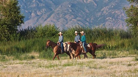 A Guide To The Best Horse Riding Trails In All 50 States